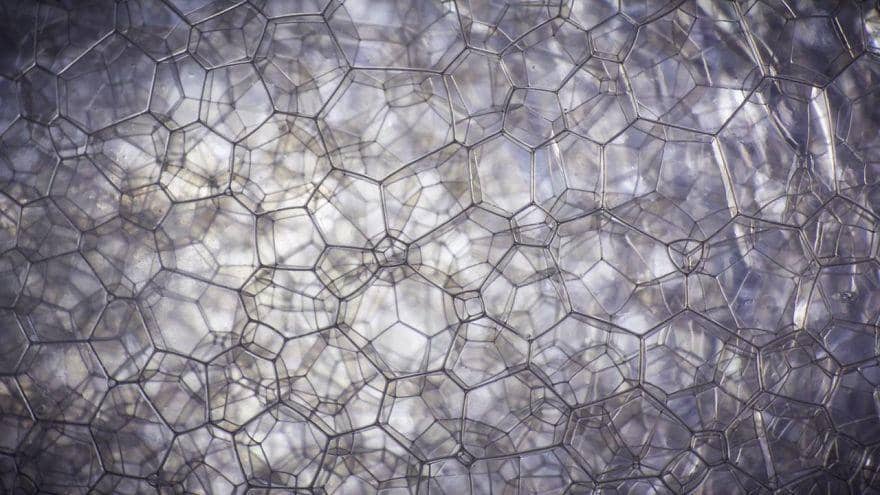 Bisa Tebak Gambar Benda Dibalik 10 Foto 'Close-up' Ini?