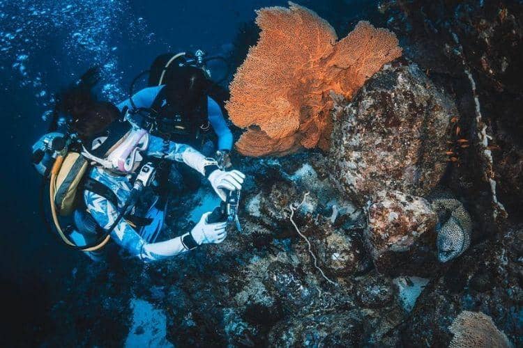 instagram.com/zhaorui0120