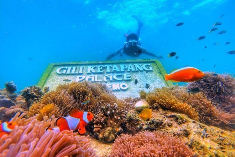 wisatagunungbromo.com