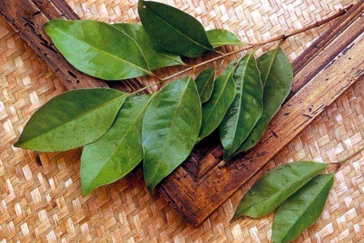 handayaniabd.wordpress.com