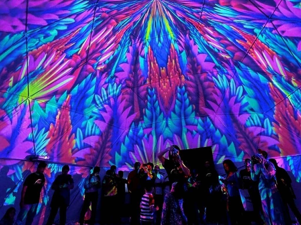 instagram.com/360domex