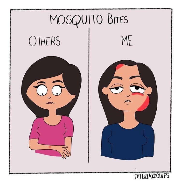 Instagram.com/akoodles