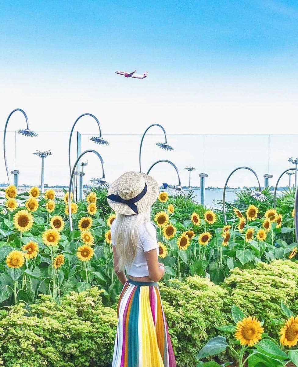 instagram.com/changiairport