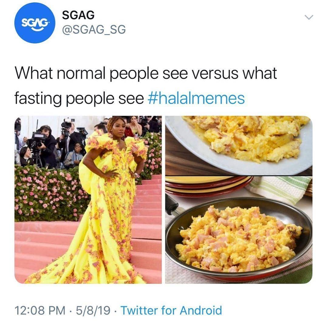 Instagram.com/halaltube_