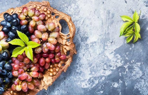 freepik.com/ lmykola