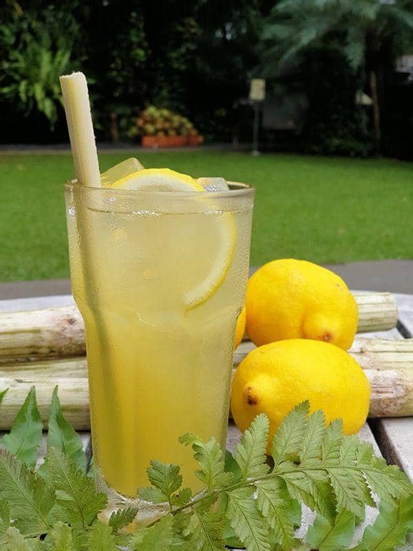 Popbela.com/Plataran