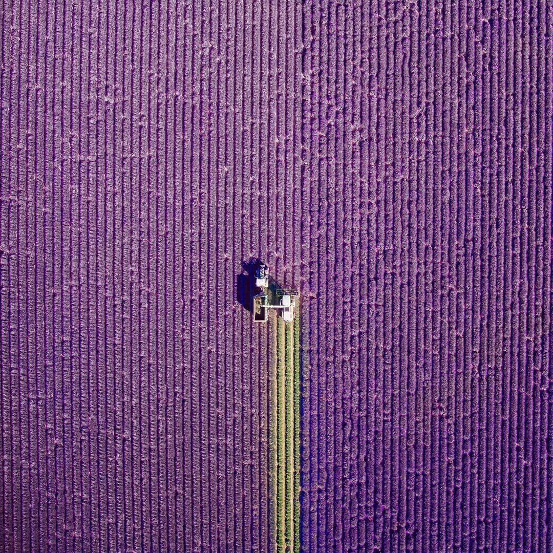 Instagram.com/jcourtial