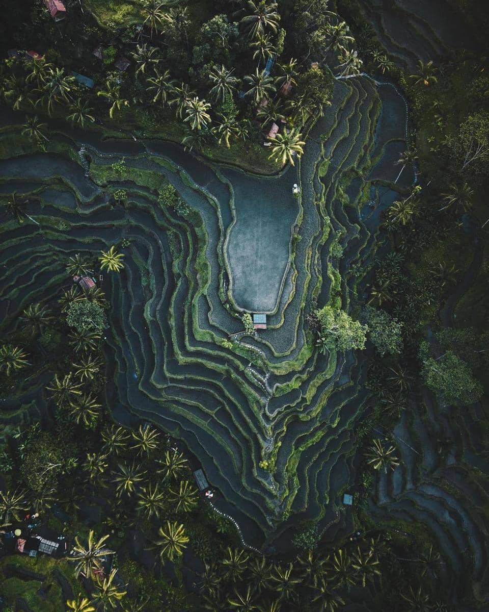 Instagram.com/kuhrmarvin