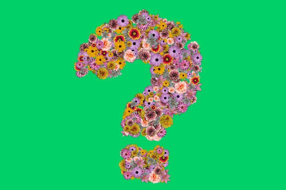 Pixabay.com/Pete Linforth