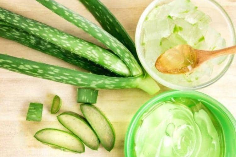 odysseedubienetre.be