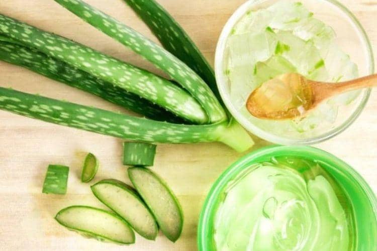 odysseedubienetre.be