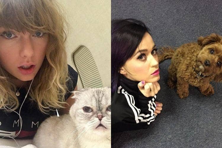 Instagram.com/@katyperry @taylorswift
