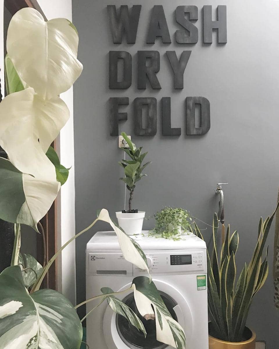 Instagram.com/rindy_