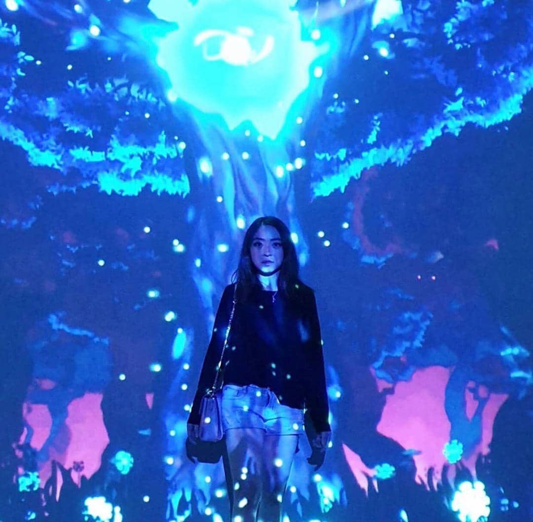 Instagram.com/abouttolucid