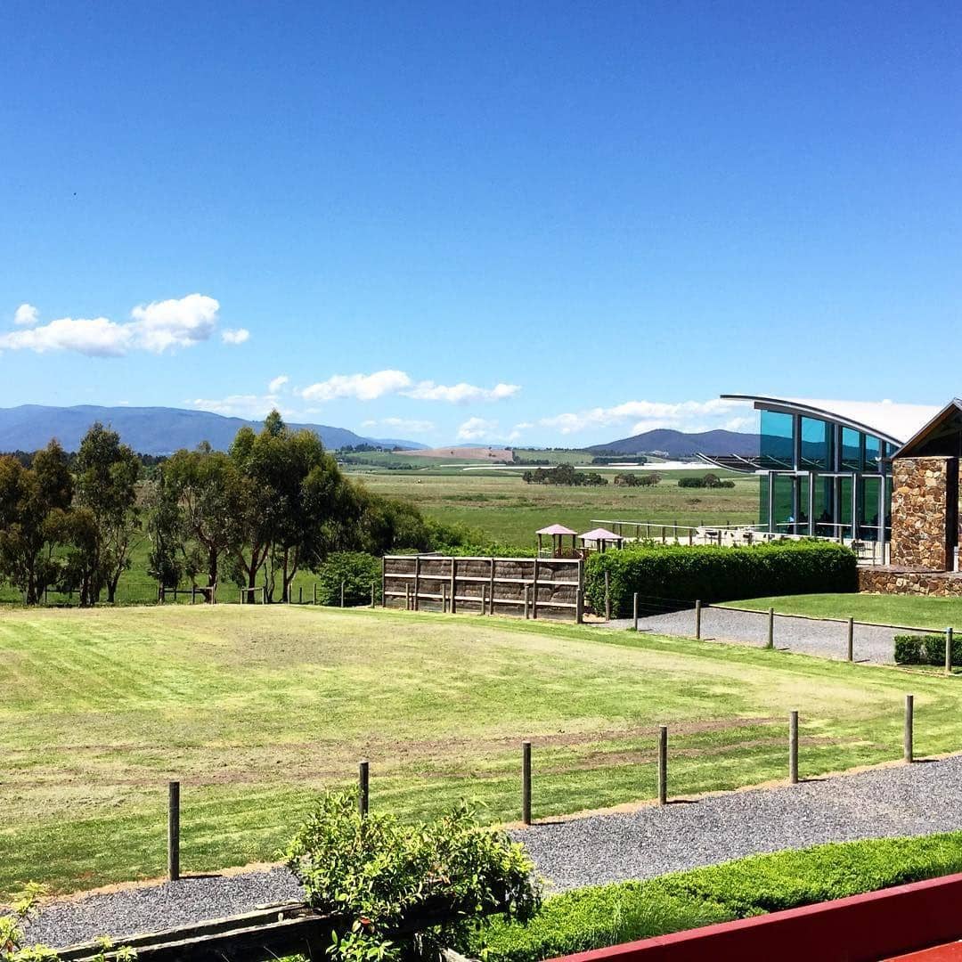 Instagram.com/arnoldpo