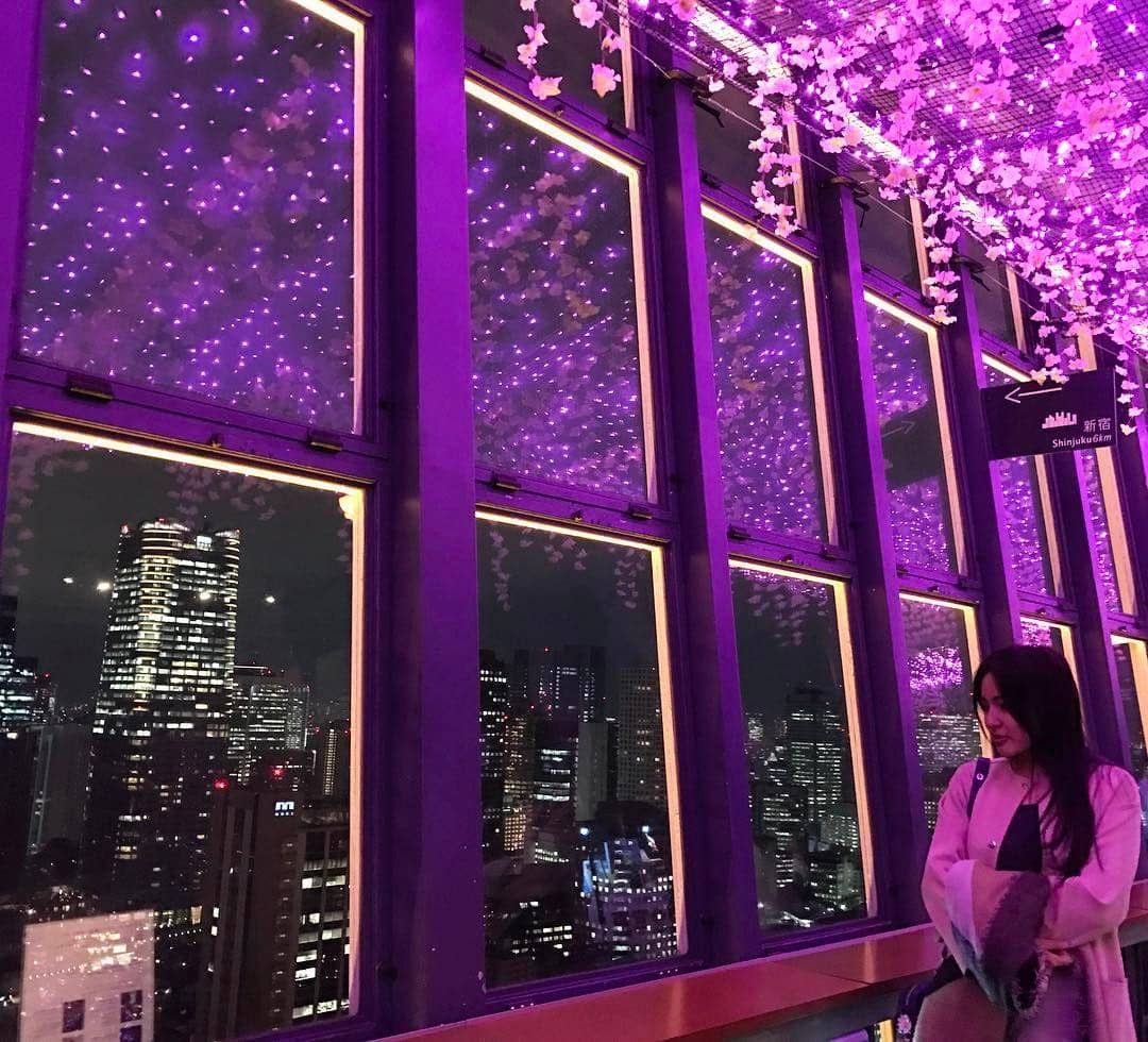 Instagram.com/arnoldpo