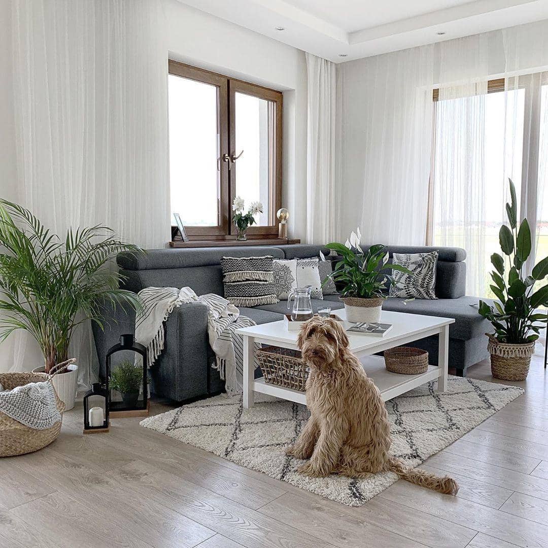 Instagram.com/tam_i_tu