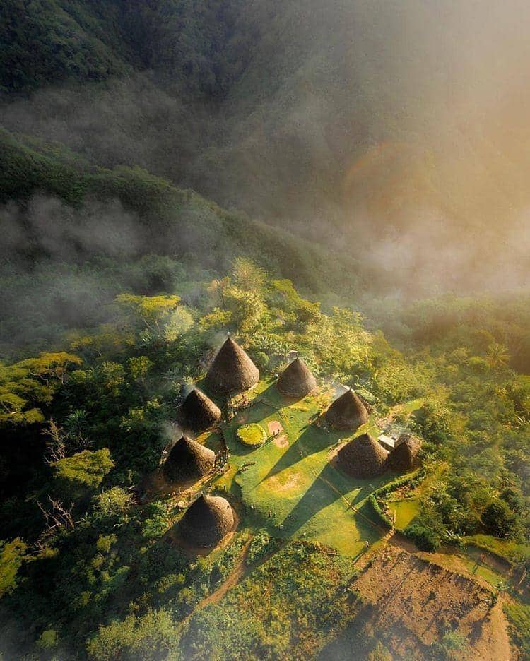 instagram.com/backpackertampan/