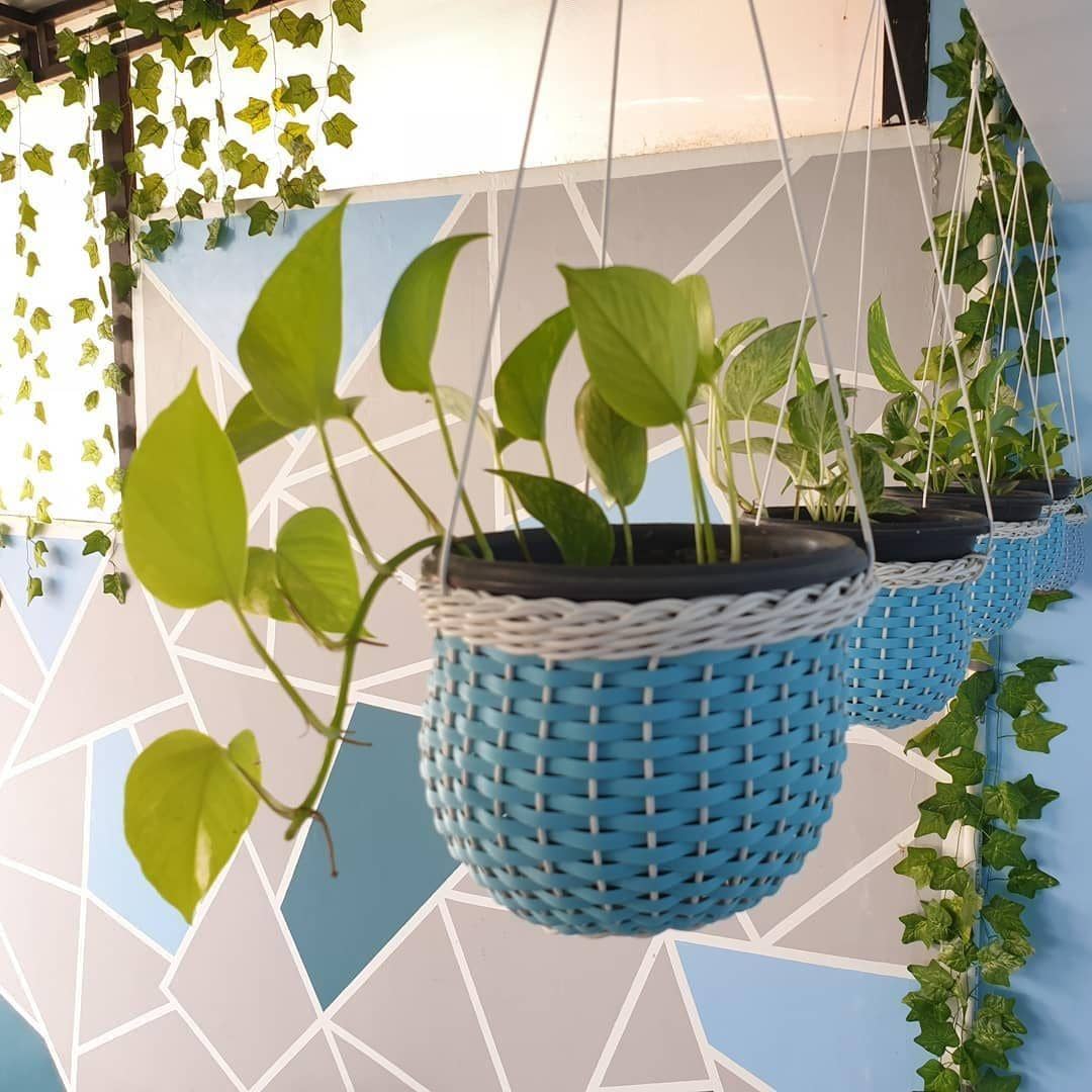 Instagram.com/asrija_sri