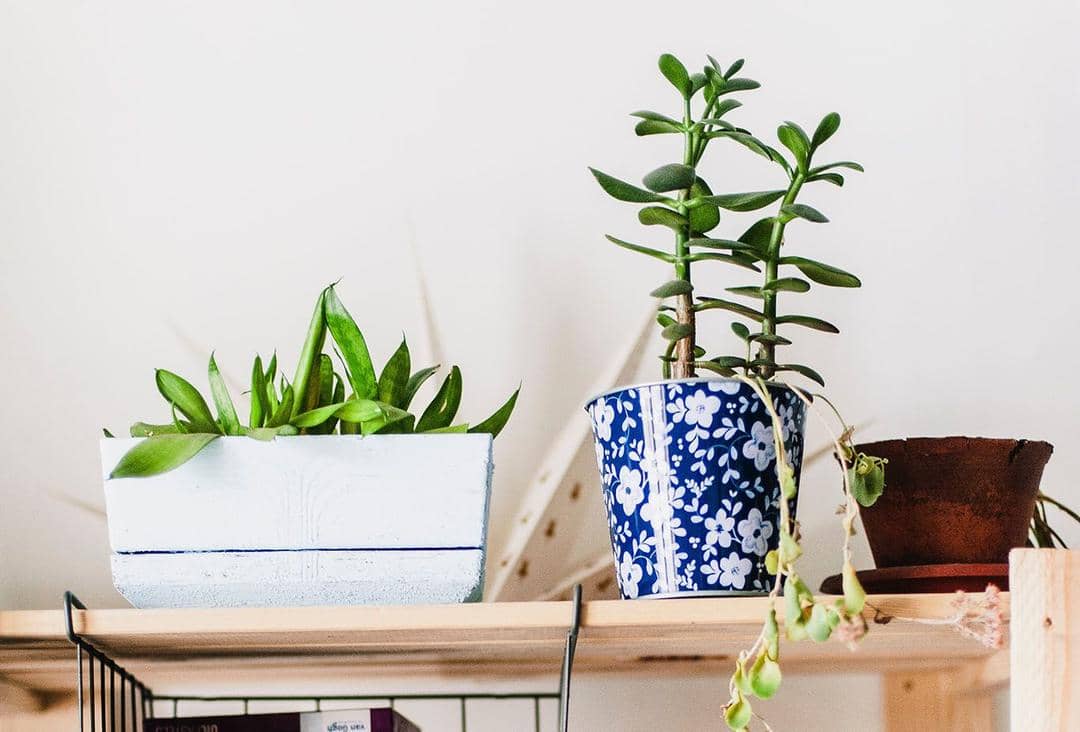 Pexels.com/Daria Shevtsova