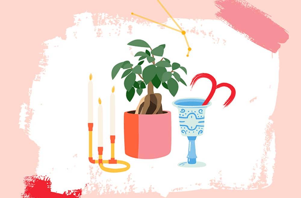 Dribbble.com/Kath Nash