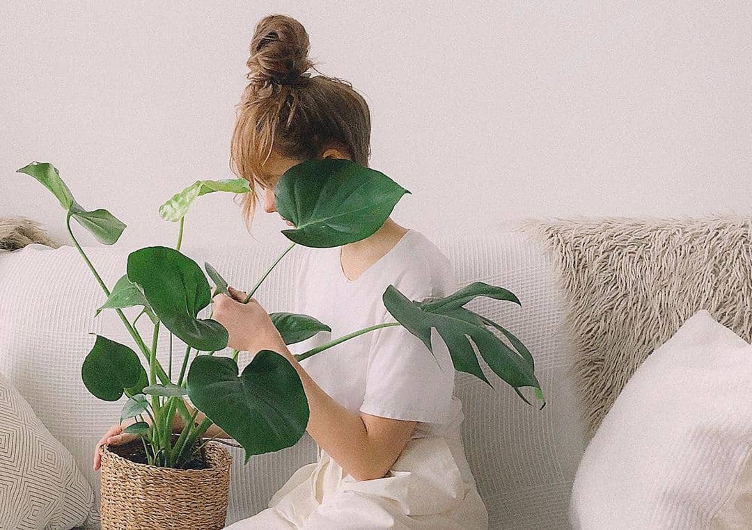 Pexels.com/Daria Shevtsova