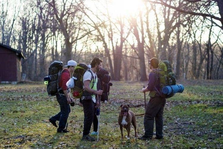 Unsplash.com/Jorge Flores