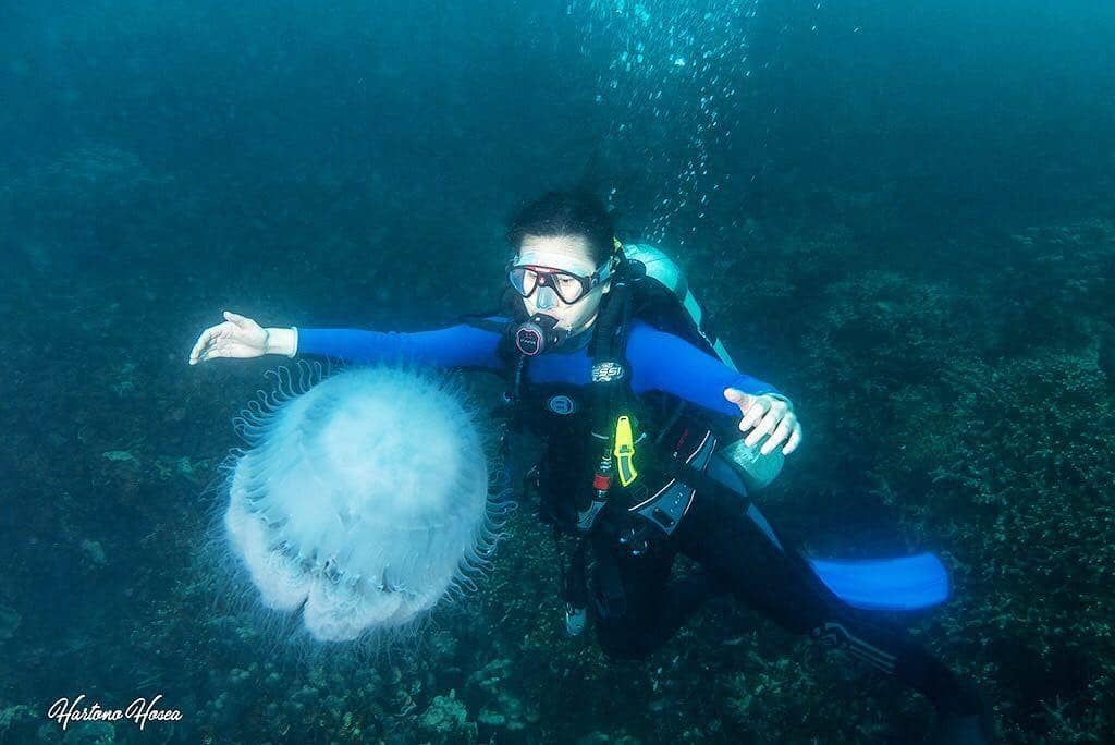 Instagram.com/karbearv