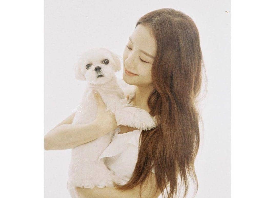 Instagram.com/sooyaaa__