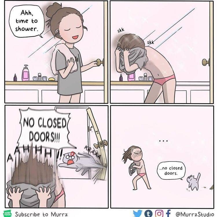 Instagram.com/murrzstudio