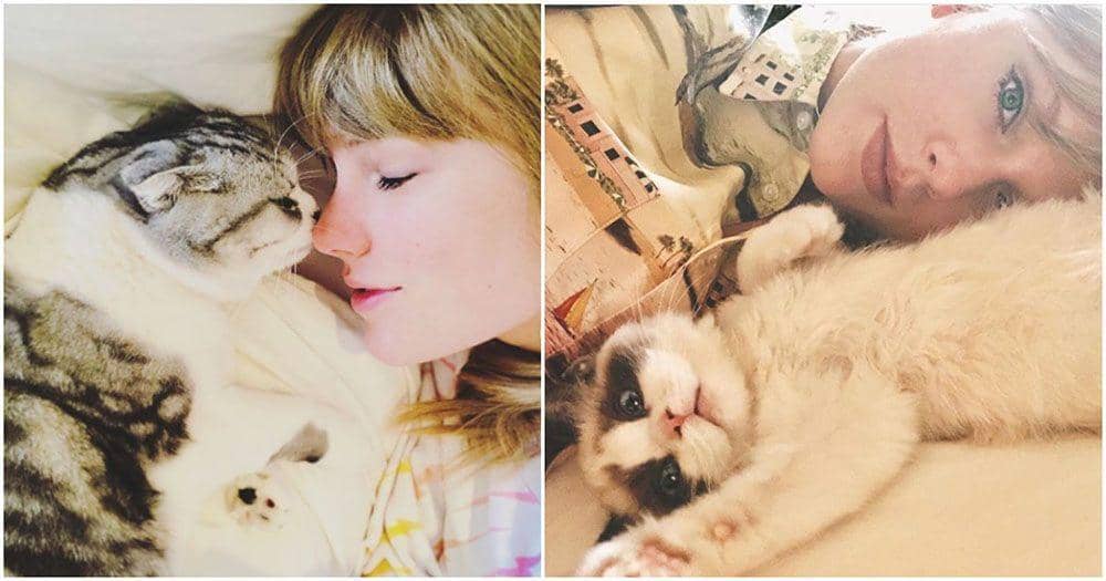 coleandmarmalade.com