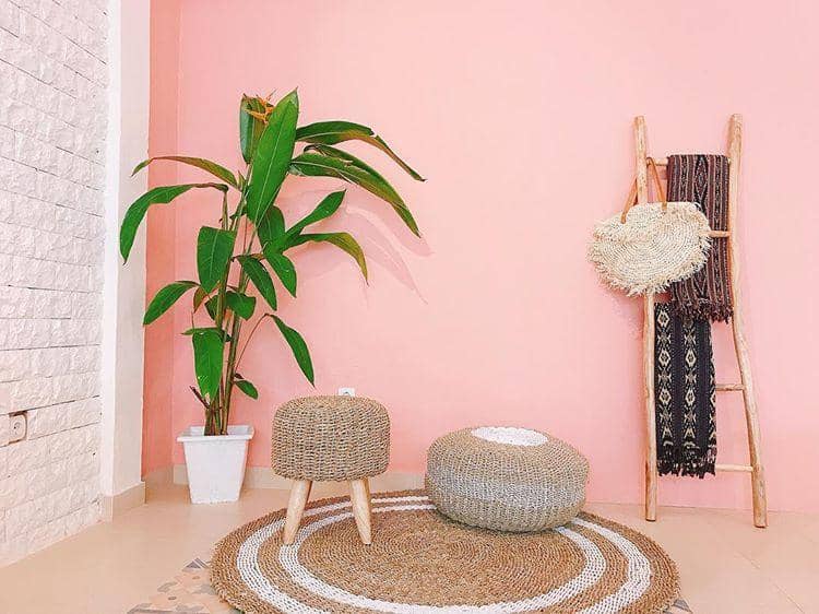 instagram.com/thecluelesscoffee/