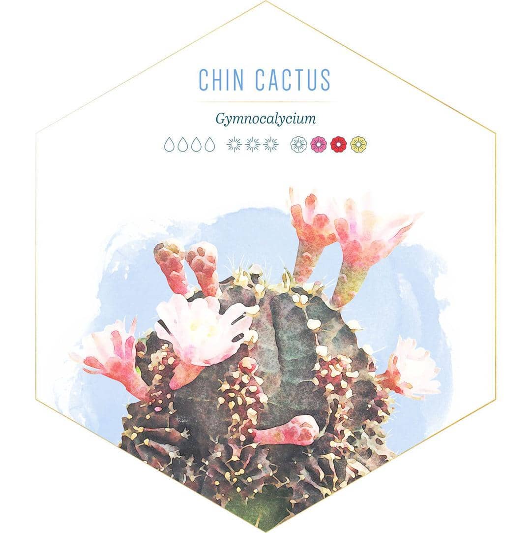 id.pinterest.com/FTDFlowers/