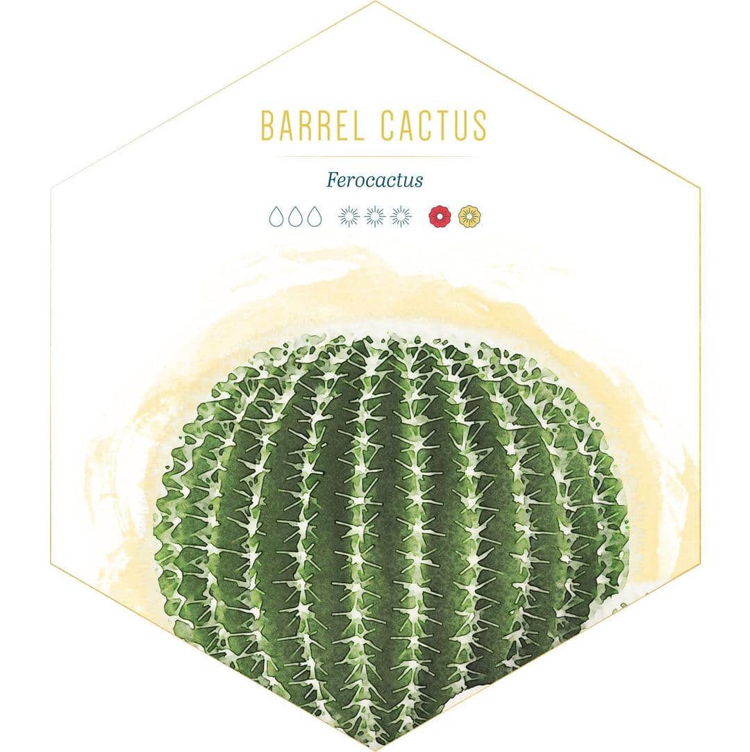 id.pinterest.com/FTDFlowers/