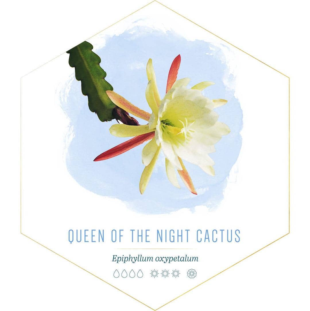 id.pinterest.com/FTDFlowers/