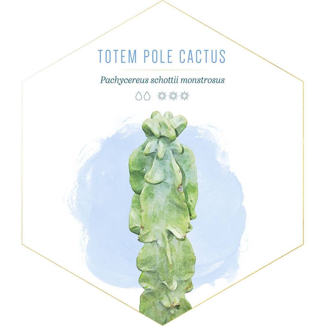 id.pinterest.com/FTDFlowers/