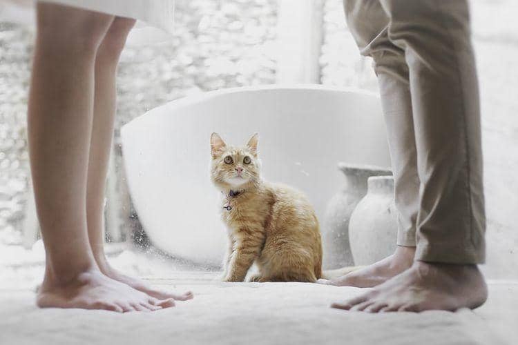 unsplash.com/hutomoabrianto