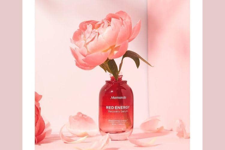 Instagram.com/@mamondekorea