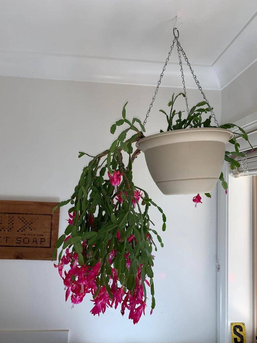 jannimary.blogspot.com