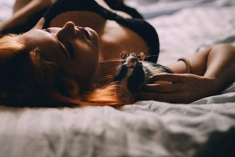 Pixabay.com/Freestocks-Photos