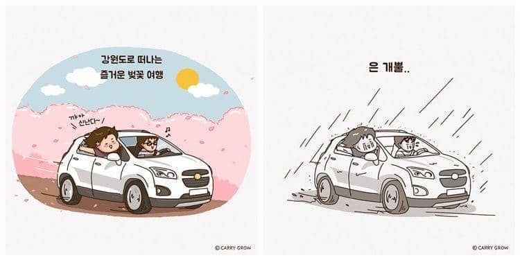 Instagram.com/carry_grow