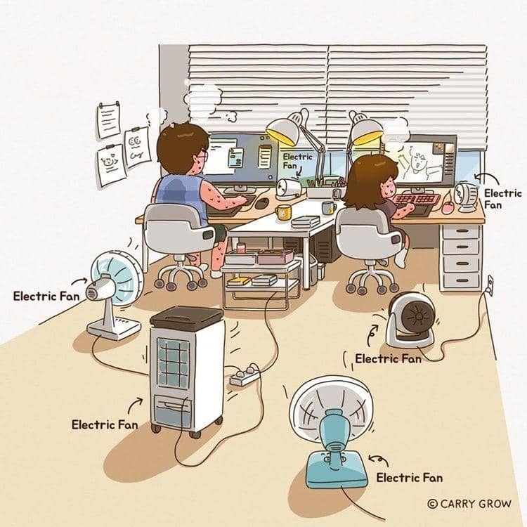 Instagram.com/carry_grow