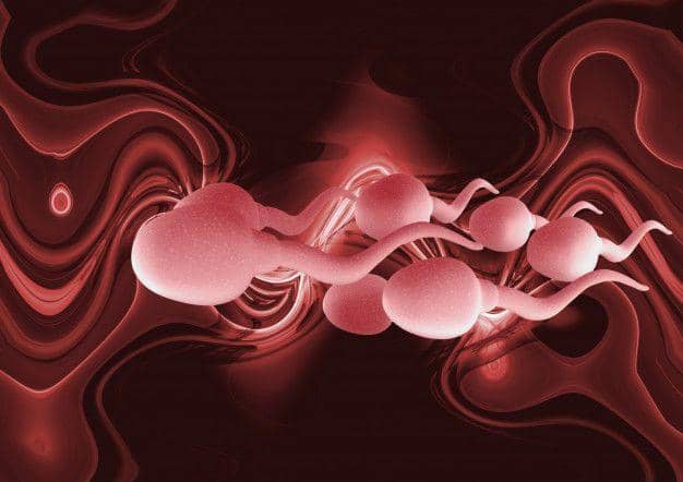 freepik.com/agartist