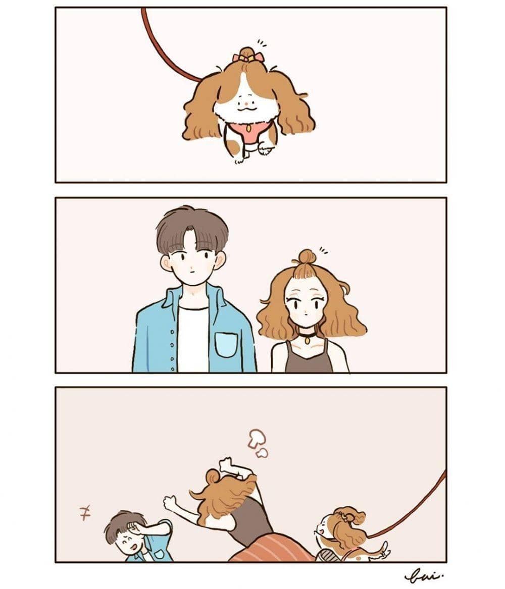 Instagram.com/a.weird.bunch