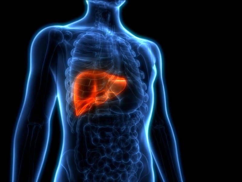 Timesofindia.indiatimes.com