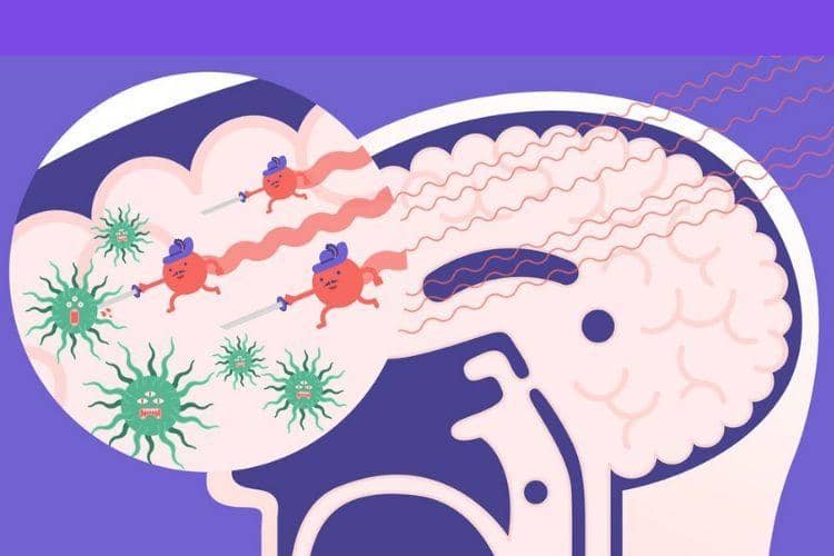 symmetrymagazine.com