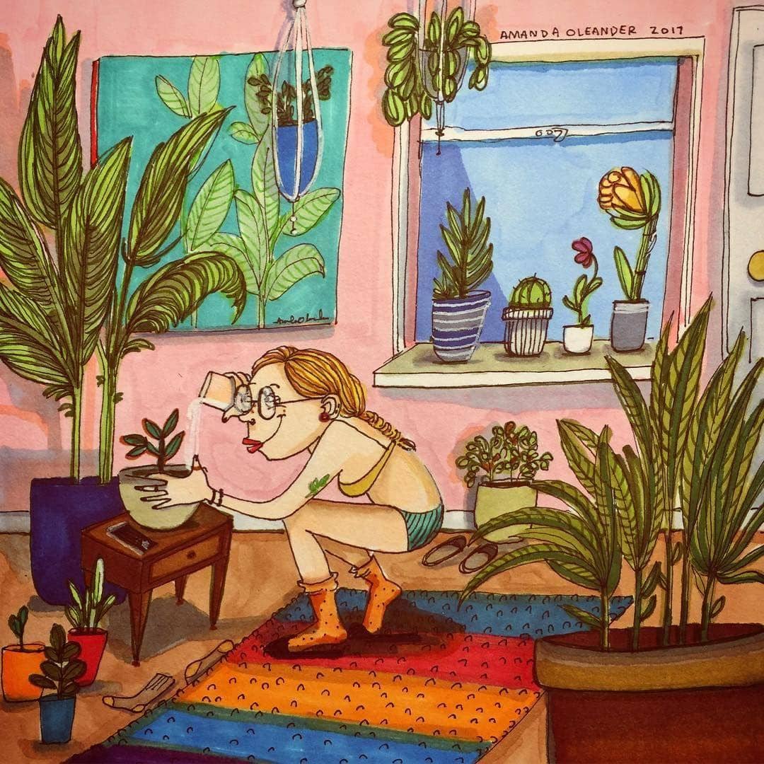 Instagram.com/amandaoleander