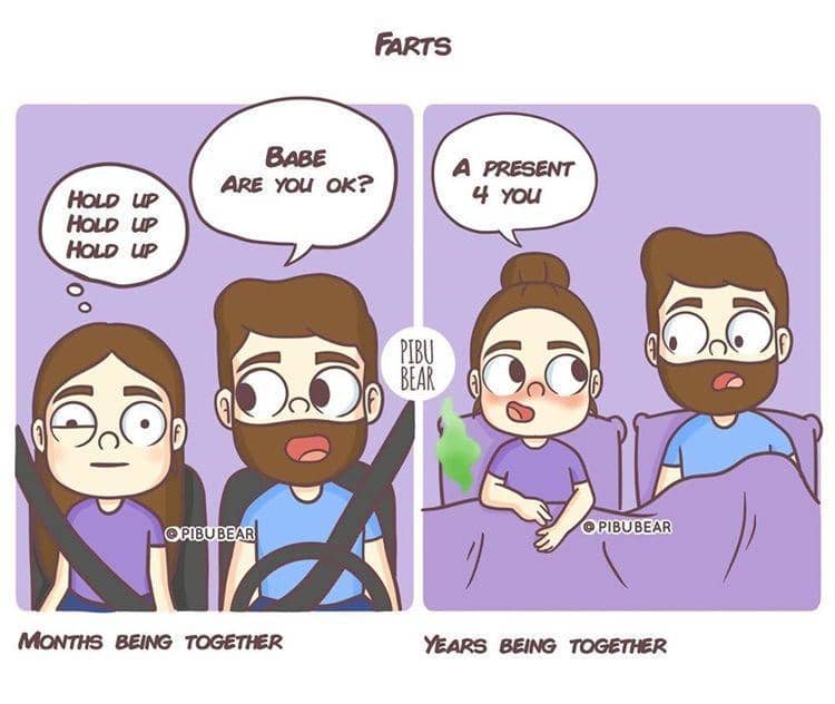 Instagram.com/pibubear