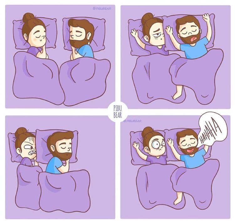 Instagram.com/pibubear