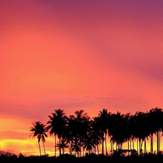 instagram.com/mfalfath